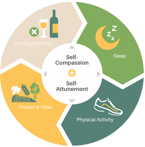 Framework for a Lifetime of Health and Well-Being (No Diet Required)
