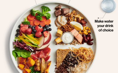 Now that we’ve settled down a bit, my thoughts on the new Food Pyramid